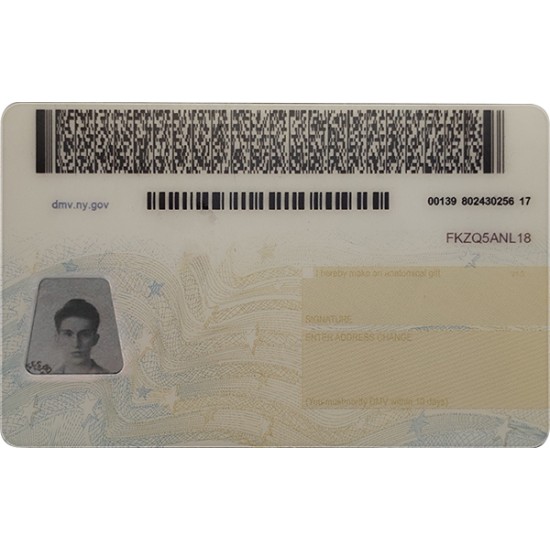 Fake New York CDL