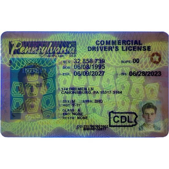 Fake Pennsylvania CDL