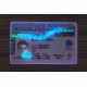 BRITISH COLUMBIA FAKE ID(2025 VERSION)