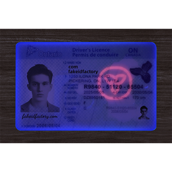 fake ontario id card,Best fake scannable ids