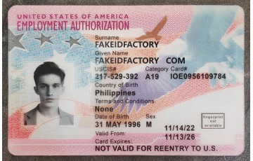 Employment Authorization Card