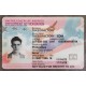 Employment Authorization Card