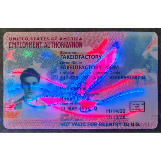 Employment Authorization Card