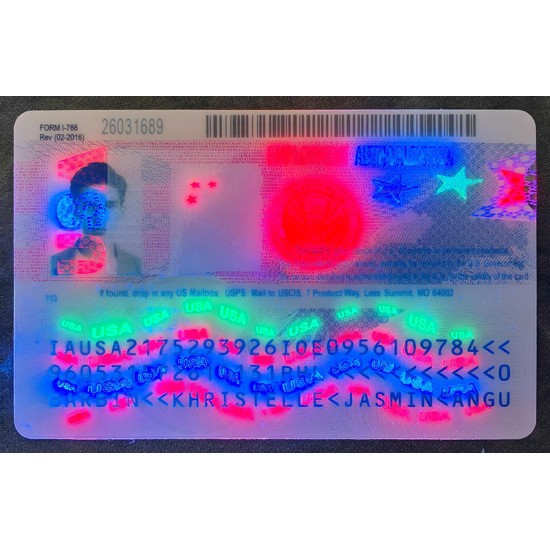 Employment Authorization Card