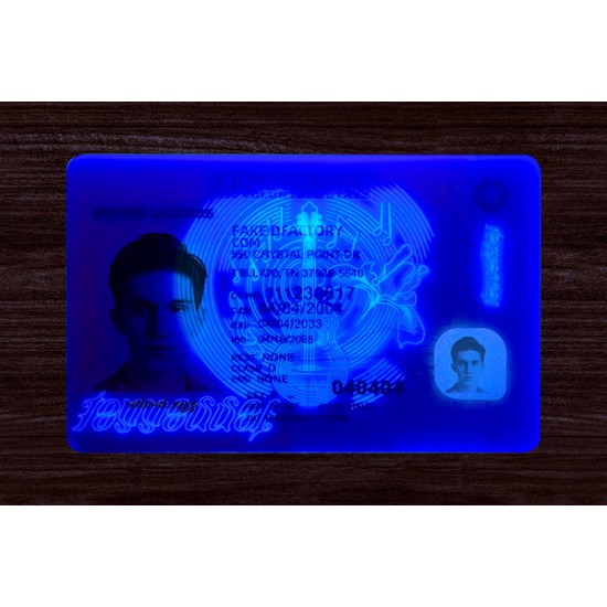 TENNESSEE FAKE ID (2025 Version)