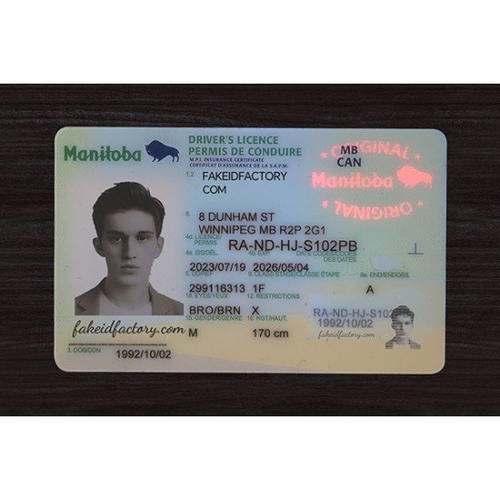 MANITOBA FAKE ID (2026 Version)