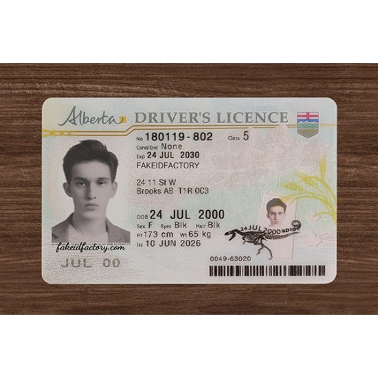 ALBERTA FAKE ID(2026 VERSION)