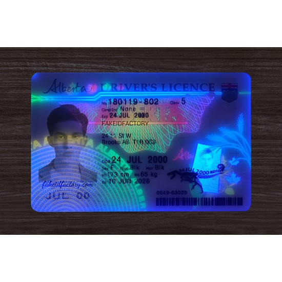 ALBERTA FAKE ID(2026 VERSION)
